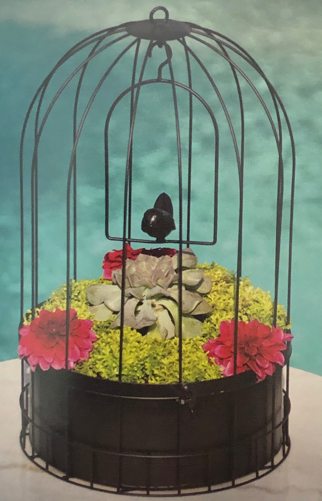 12” Bird Cage Hanging Basket with Metal Liner ⋆ The Garden Party